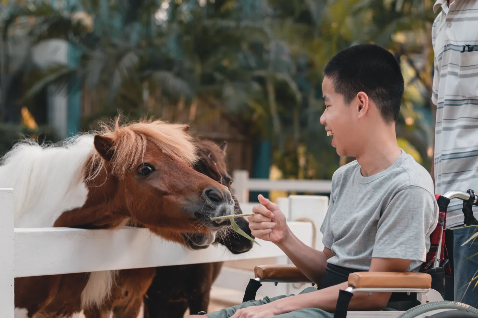 Ein Junge streichelt lächelnd ein Pony auf dem Pferdehof