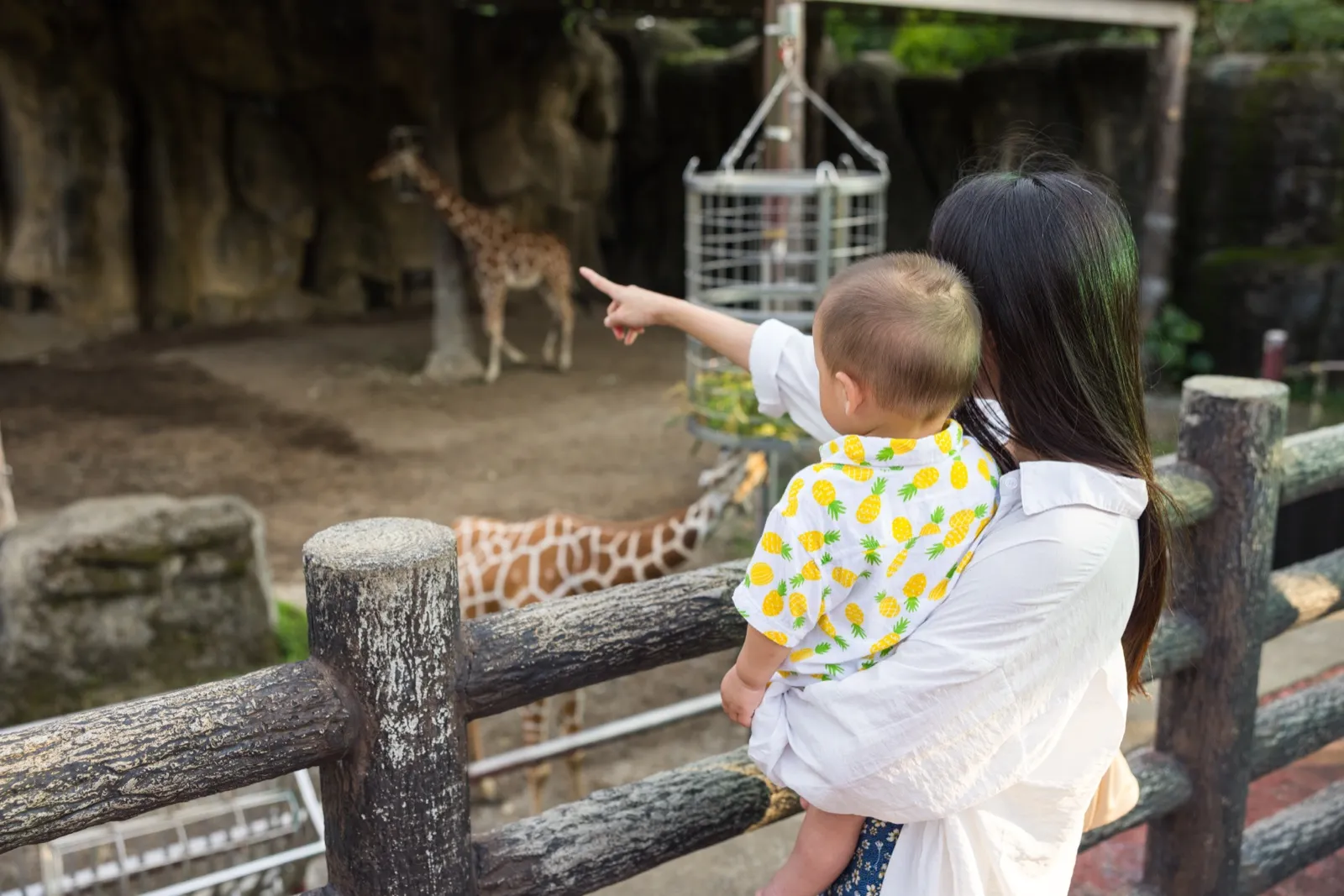 Ein Kind entdeckt gemeinsam mit einer Begleitperson Giraffen im Zoo